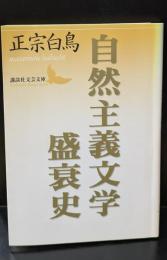 自然主義文学盛衰史（講談社文芸文庫）