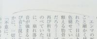ナボコフの文学講義　上下2冊揃い（河出文庫）