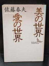 美の世界・愛の世界（講談社文芸文庫）