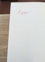 失われた時を求めて　全10冊揃い（ちくま文庫）
