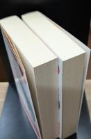 ゴンクールの日記　上下2冊揃い（岩波文庫赤595-2・3）