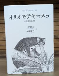 イリオモテヤマネコ