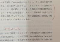 動物進化形態学