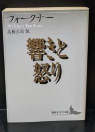 響きと怒り（講談社文芸文庫）