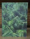 東松照明展 : 沖縄マンダラ