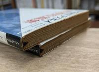 ドストエフスキイ前期短篇集・後期短編集 全2冊揃い （福武文庫）