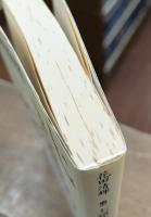 七・錯乱の論理・二つの世界 (講談社文芸文庫)