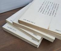 唐代詩人論　全4冊揃い （講談社学術文庫369-372）