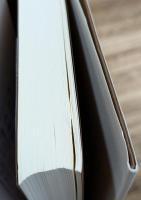 現代語訳 吾妻鏡3 幕府と朝廷