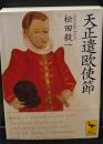 天正遣欧使節（講談社学術文庫1362）