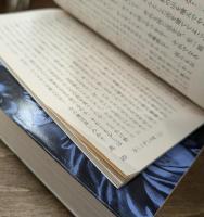 なしくずしの死 上下2冊揃い （河出文庫）