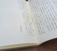 孤獨の人 （岩波現代文庫 B201）