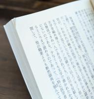 鴎外その側面 （ちくま学芸文庫）