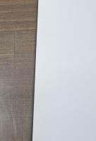 高円寺フォーク伝説 : 平成8年度特別展