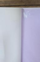 ホースパレード : 華やかなる日本の行列 : 馬の博物館春季特別展