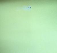 特別展「城郭のデザイン」図録 : 国宝姫路城原図展 世界文化遺産指定記念