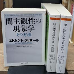 間主観性の現象学 全3冊揃い（ちくま学芸文庫）