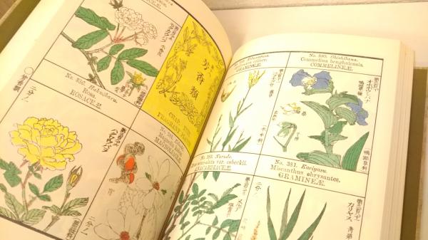 有用植物図説(田中芳男, 小野職愨 撰 ; 服部雪斎 図画) / 古本、中古本