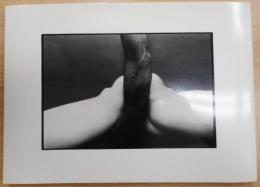 細江英公展覧会のための写真集「抱擁」と「薔薇刑」