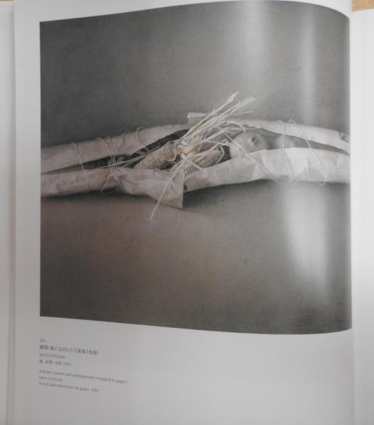 Amazon.co.jp: 磯江毅 写実考──Gustavo ISOE's Works 1974