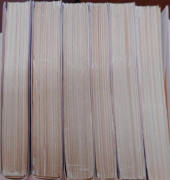 作家の日記 全6冊 （岩波文庫）(ドストエーフスキイ著 ; 米川