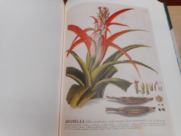 C.J.トレウ　植物精選百種図譜 植物精選百種図譜 Plantae selectae (Christopher Jacob Trew