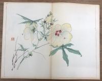 丹青一斑　全5冊　揃い