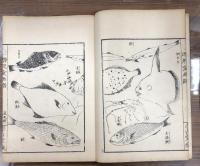 潜龍堂画譜 全5冊のうち魚類之部1冊