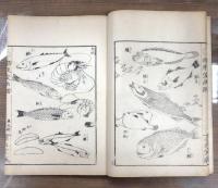 潜龍堂画譜 全5冊のうち魚類之部1冊