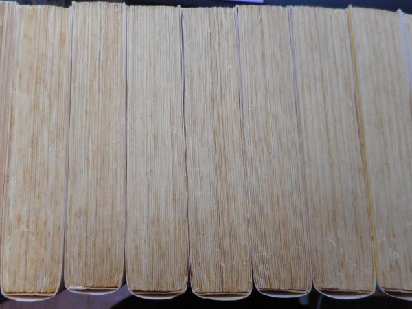 西遊記 全10冊揃い (岩波文庫 赤20)(呉承恩 作 ; 中野美代子 西遊記 全10冊揃い (岩波文庫 赤20)(呉承恩 作 ; 中野美代子
