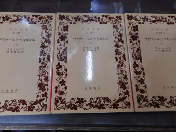 ブヴァールとペキュシェ 全3冊揃い （岩波文庫 赤538）(フローベル 著 ; 鈴木健郎 訳) / 古本、中古本、古書籍の通販は「日本の古本屋」