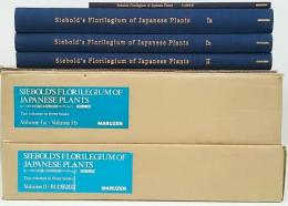 シーボルト旧蔵日本植物図譜コレクション　　　