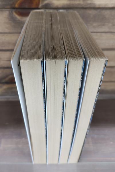 緑のハインリヒ 全4冊揃い （岩波文庫 赤425）(ケラー作 ; 伊藤