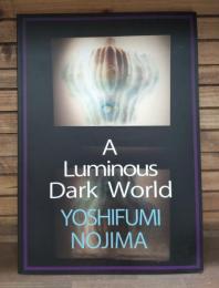 輝ける闇の世界 : 15世紀フランドル絵画からの展開 : 能島芳史展　A luminous dark world