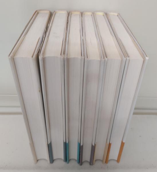 新しい中国文学 全6冊揃い(陳建功 著 ; 岸陽子, 斉藤泰治 訳 新しい中国文学 全6冊揃い(陳建功 著 ; 岸陽子, 斉藤泰治 訳