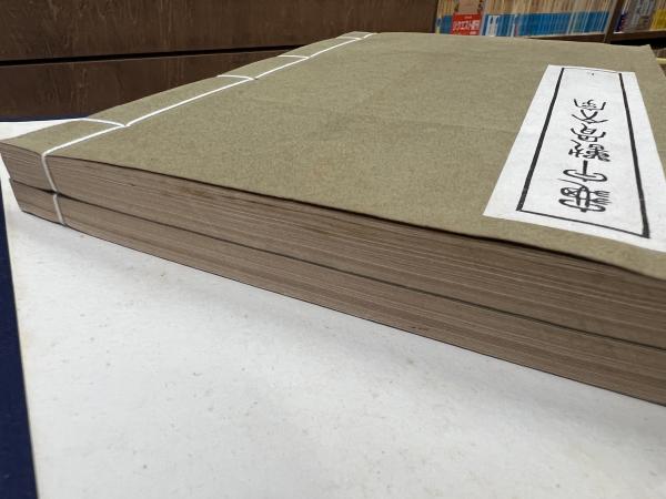 亀甲獣骨文字 全2冊揃い(林泰輔) / 愛書館中川書房 神田神保町店