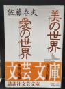 美の世界・愛の世界（講談社文芸文庫）