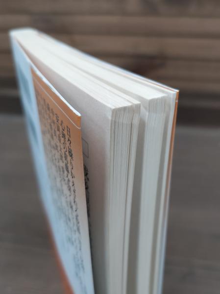 戦後短篇小説再発見 全18冊揃い （講談社文芸文庫）(講談社文芸