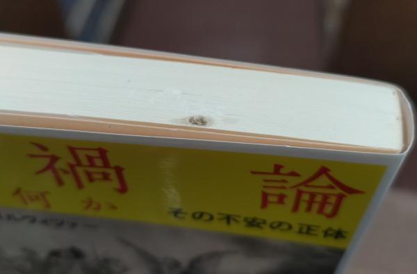 黄禍論とは何か : その不安の正体 (中公文庫)(ハインツ 