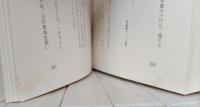 仏教説話大系40冊+別冊「読書の手引き」2冊　全42冊揃い