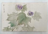 前田青邨 画帖　『山草』　2帖