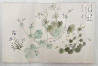 前田青邨 画帖　『山草』　2帖