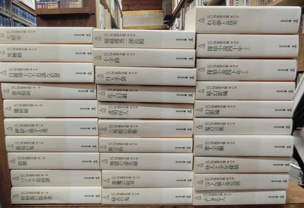 江戸川乱歩全集 全30冊光文社文庫