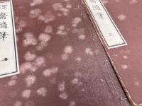 理齋随筆　全6巻6冊揃い