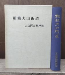 相模大山街道