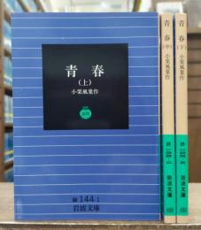 青春 全3冊揃い (岩波文庫 緑144)