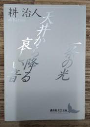 一条の光・天井から降る哀しい音 (講談社文芸文庫)