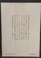 政治・民族・国家の話（講談社学術文庫518）