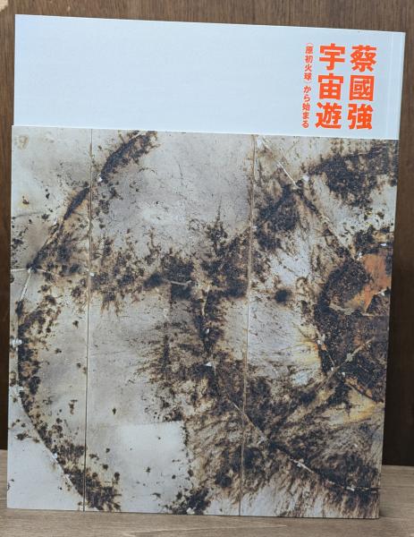 ミシェル・フーコー 思考集成 全10冊揃い｜長島書店オンライン