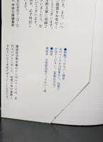 アメリカ自由主義の伝統 : 独立革命以来のアメリカ政治思想の一解釈（講談社学術文庫1158）